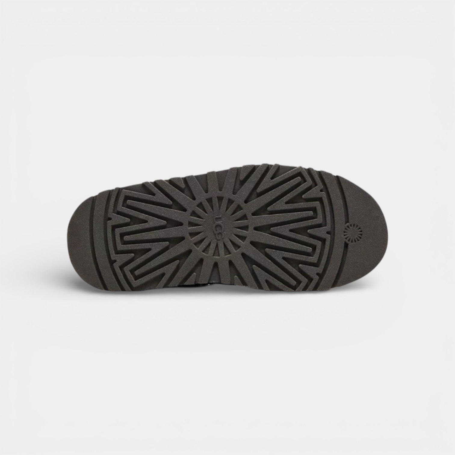UGG Tazz Slipper Hickory ( New Season )