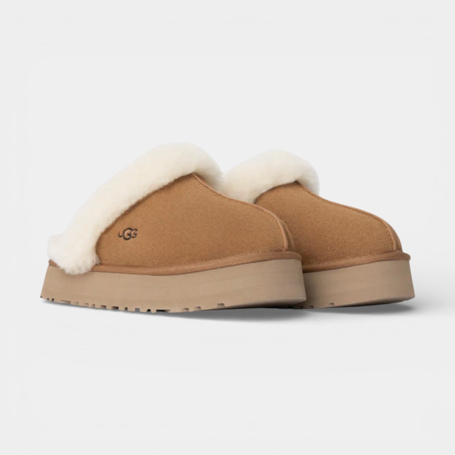 UGG Disquette Slipper Chestnut ( New Season )