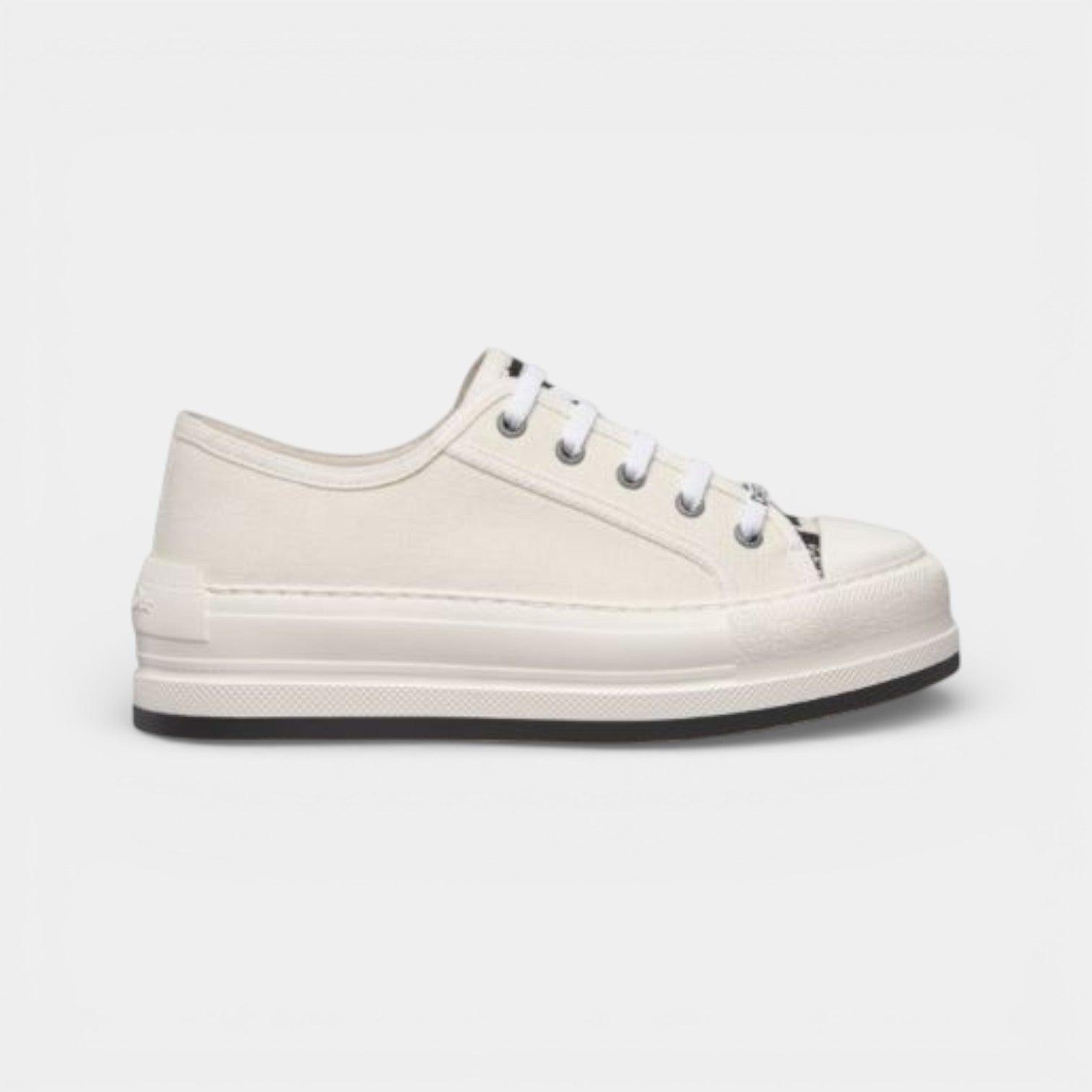 Dior Canvas WOMEN