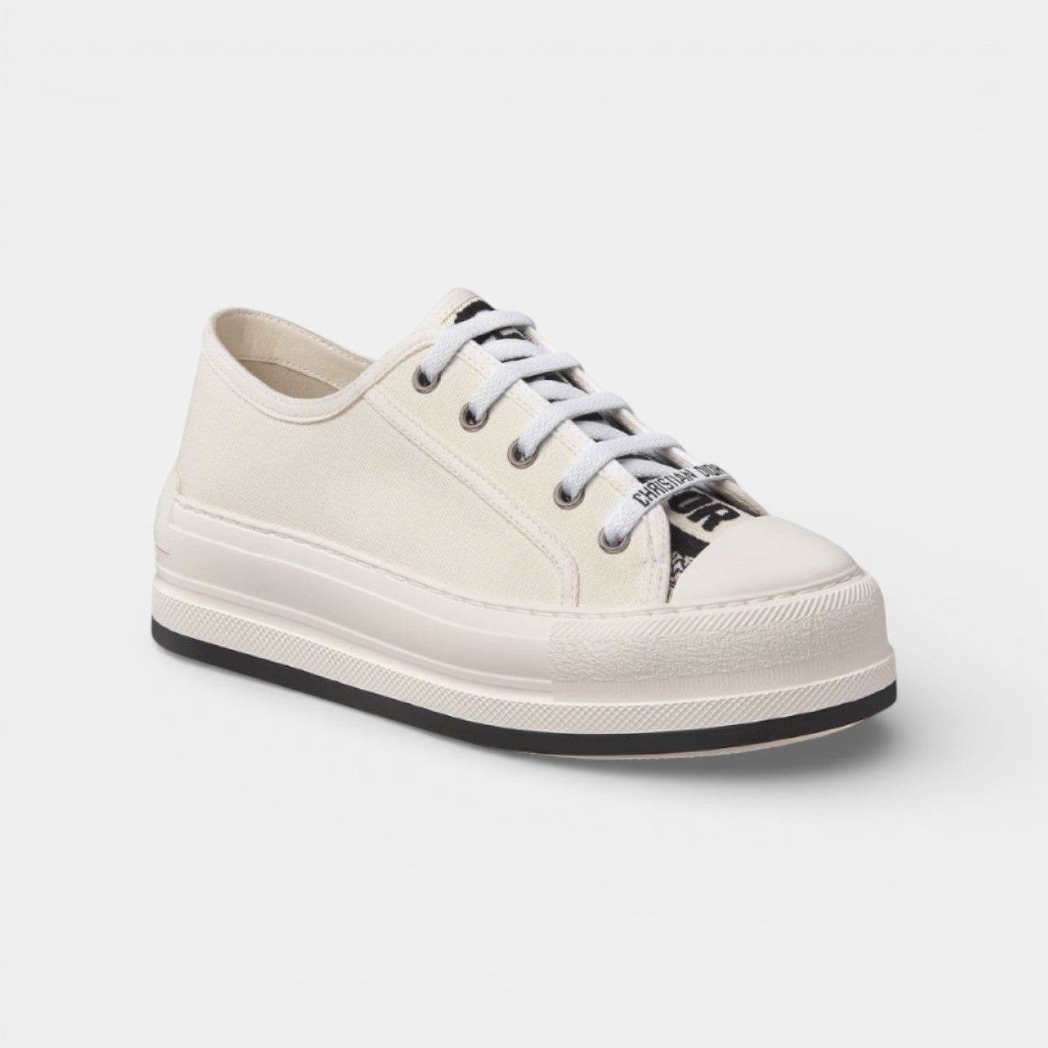 Dior Canvas WOMEN